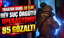 Trabzon dahil 30 ilde dev suç örgütü operasyonu! 85 gözaltı