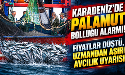 Karadeniz’de Palamut Bolluğu Alarmı! Fiyatlar Düştü, Uzmandan Aşırı Avcılık Uyarısı
