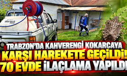 Trabzon'da kahverengi kokarcaya karşı harekete geçildi! 70 evde ilaçlama yapıldı