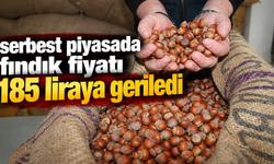 Serbest piyasada fındık fiyatı 185 liraya geriledi
