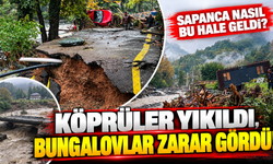 Köprüler yıkıldı, bungalovlar zarar gördü! Sapanca nasıl bu hale geldi?