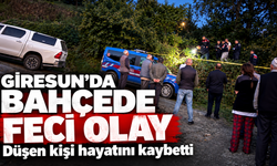 Giresun’da bahçede düşen kişi hayatını kaybetti