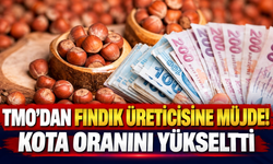 TMO’dan fındık üreticisine müjde! Kota oranını yükseltti