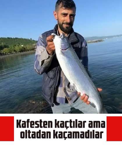 Kafesten kaçtılar ama oltadan kaçamadılar