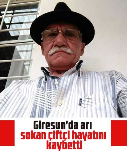 Giresun'da arı sokan çiftçi hayatını kaybetti