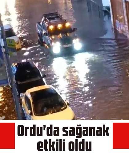 Ordu'da sağanak etkili oldu