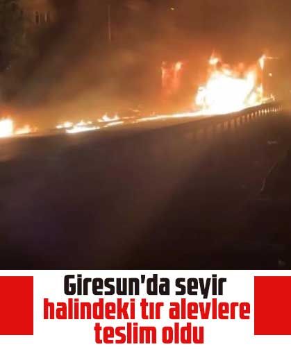 Giresun'da seyir halindeki tır alevlere teslim oldu