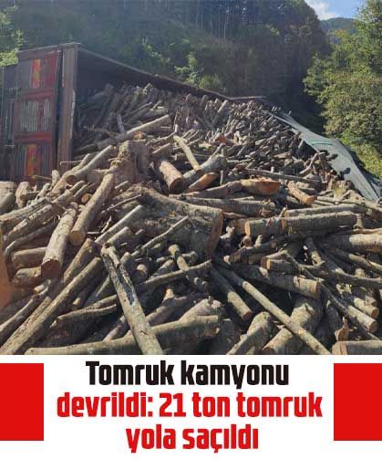 Tomruk kamyonu devrildi: 21 ton tomruk yola saçıldı