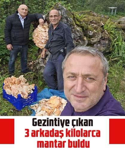 Gezintiye çıkan 3 arkadaş kilolarca mantar buldu
