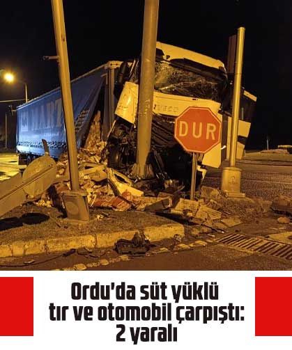 Ordu'da süt yüklü tır ve otomobil çarpıştı: 2 yaralı
