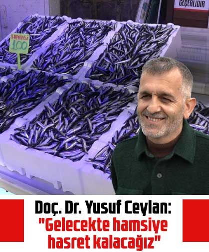 Doç. Dr. Yusuf Ceylan: "Gelecekte hamsiye hasret kalacağız"