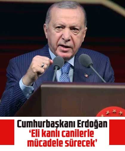Cumhurbaşkanı Erdoğan: Eli kanlı canilerle mücadele sürecek