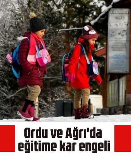 Ordu ve Ağrı'da eğitime kar engeli