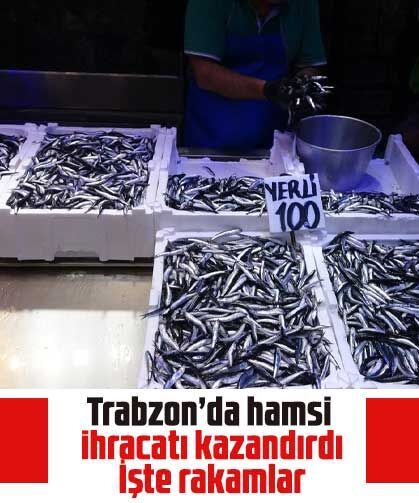 Trabzon’da hamsi ihracatı kazandırdı: İşte rakamlar