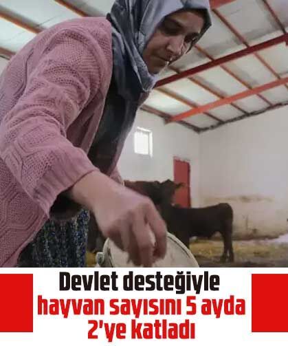 Devlet desteğiyle hayvan sayısını 5 ayda 2'ye katladı