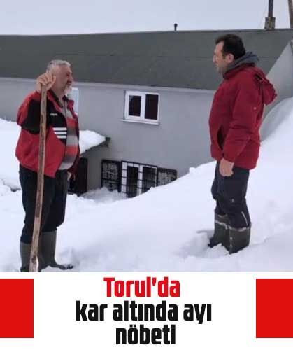 Torul'da kar altında ayı nöbeti