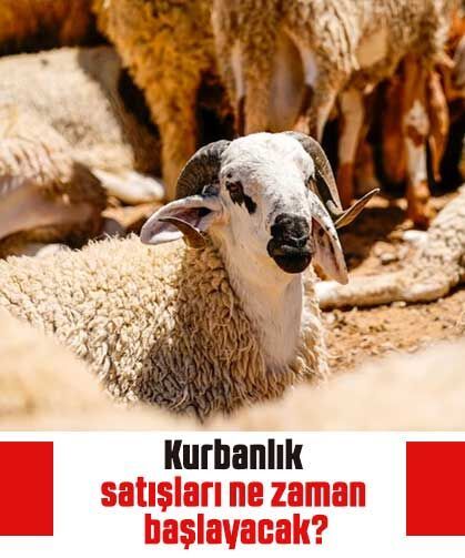 Kurbanlık satışları ne zaman başlayacak?