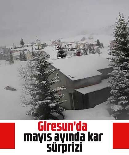 Giresun'da mayıs ayında kar sürprizi