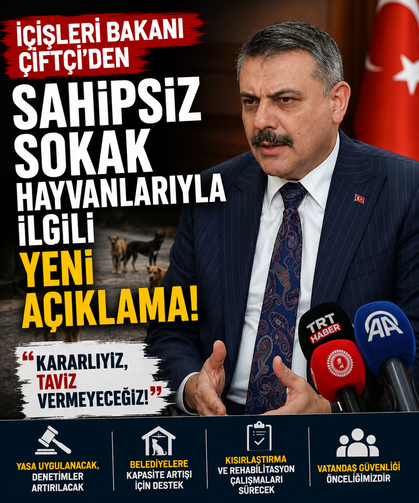 İçişleri Bakanı Çiftçi'den sahipsiz sokak hayvanlarıyla ilgili yeni açıklama