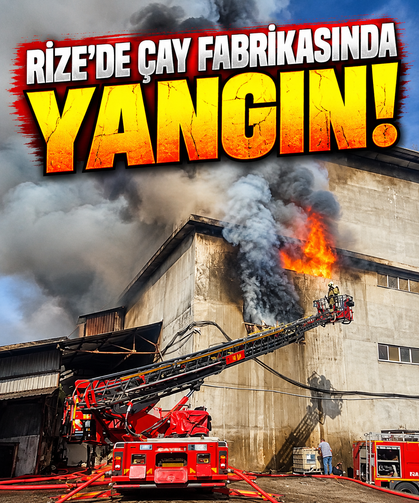 Rize’de çay fabrikasının ambalaj deposunda yangın