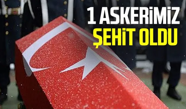 MSB acı haberi duyurdu! Şehidimiz var!