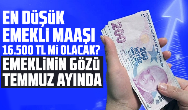 En düşük emekli maaşı 16.500 TL mi olacak? Emeklinin gözü temmuz ayında