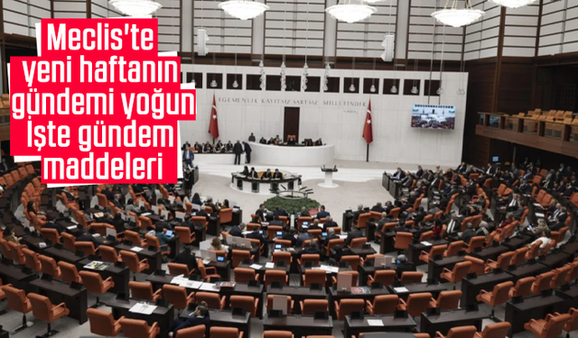 Meclis'te yeni haftanın gündemi yoğun: İşte gündem maddeleri