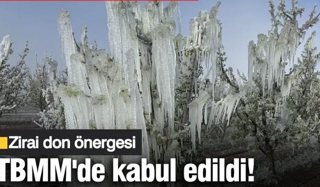 Zirai don önergesi TBMM'de kabul edildi