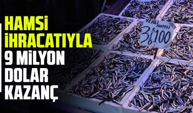 Hamsi İhracatıyla 9 Milyon Dolar Kazanç