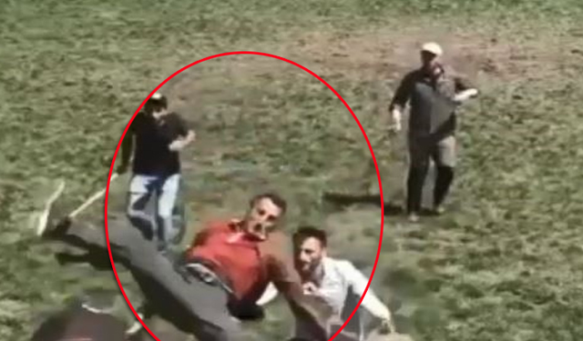 Artvin’de 500 kilogramlık boğa bakıcısını hastanelik etti