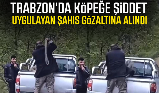 Köpeğe halatla şiddet uygulayan şahıs gözaltına alındı