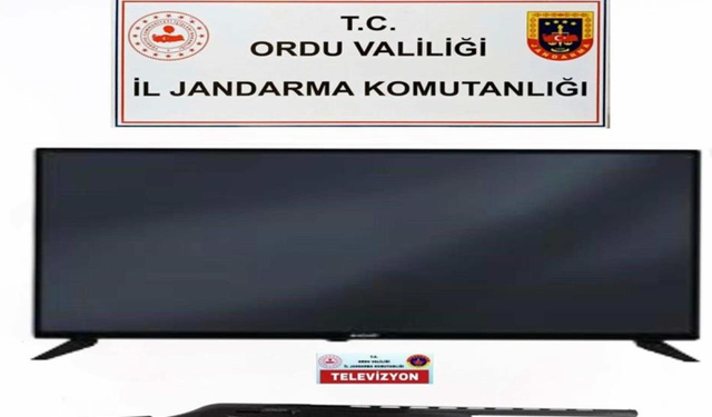 Ordu’da evden hırsızlık yapan 2 şüpheli yakalandı