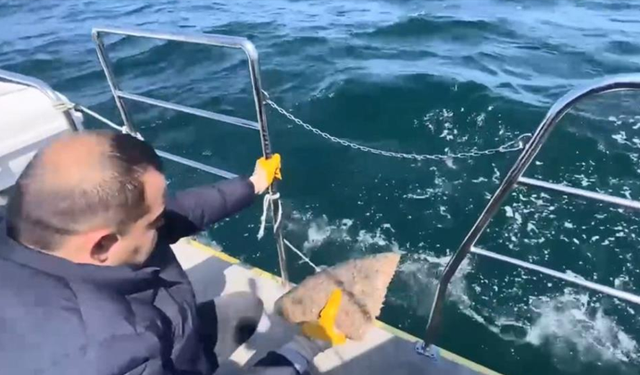 Ordu’da denizde serili kalkan ağına el konuldu