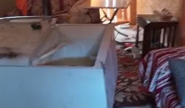 Sis Dağı Yaylası’nda ayıların yayla evlerindeki talanı sürüyor