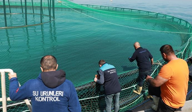 Trabzon'da denizdeki balık kafeslerine denetim