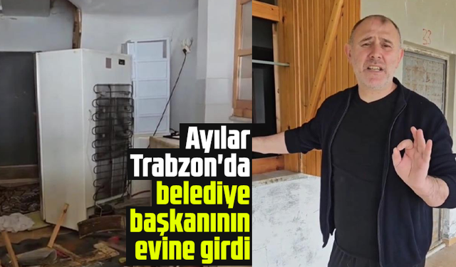 Ayılar Trabzon'da belediye başkanının evine girdi