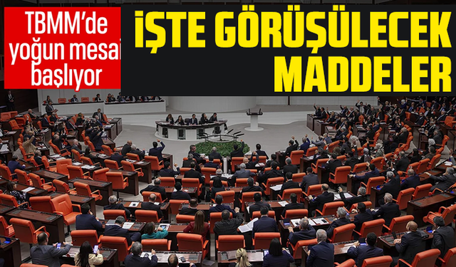 TBMM'de yoğun mesai başlıyor! İşte görüşülecek maddeler