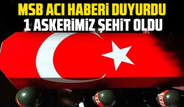MSB acı haberi duyurdu: 1 askerimiz şehit oldu