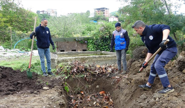 Giresun'da balık atıkları gübre ve yeme dönüşüyor