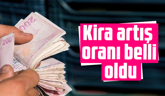 TÜİK enflasyon verilerini açıkladı: Kira artış oranı belli oldu