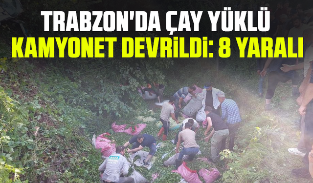Trabzon'da çay yüklü kamyonet devrildi: 8 yaralı