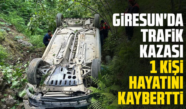 Giresun'da trafik kazası: 1 kişi hayatını kaybetti