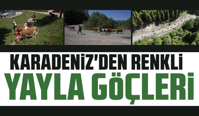 Karadeniz'den renkli yayla göçleri