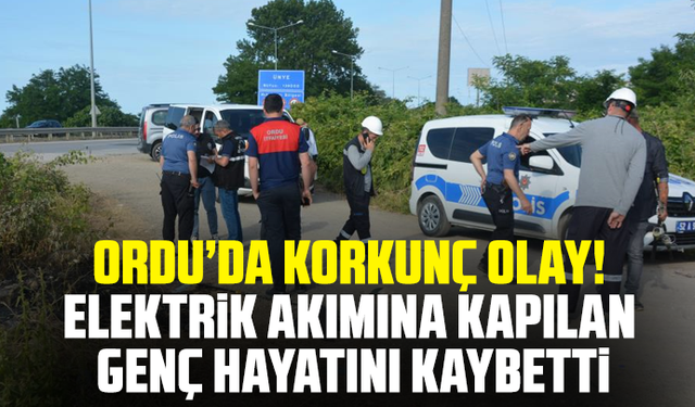 Ordu’da korkunç olay! Elektrik akımına kapılan genç hayatını kaybetti