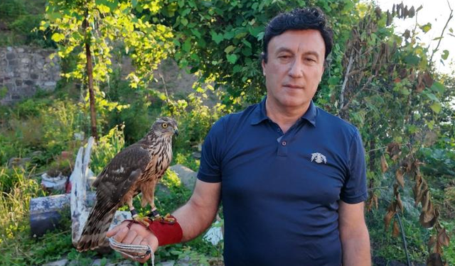 Asırlık atmaca geleneği Artvin'de yaşatılıyor