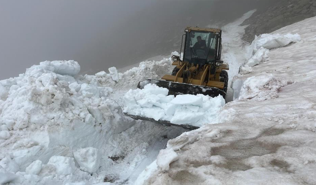 Rize'nin yayla yollarında Haziran'da kar temizliği