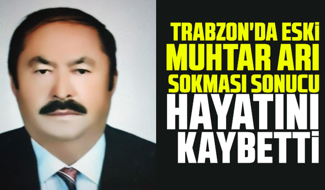 Trabzon'da eski muhtar arı sokması sonucu hayatını kaybetti