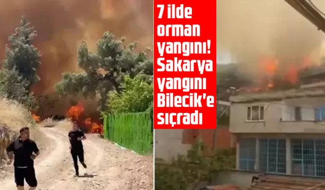 7 ilde orman yangını! Sakarya yangını Bilecik'e sıçradı
