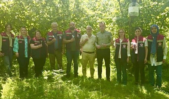 Kahverengi kokarcaya karşı 50 bin adet samuray doğaya salındı