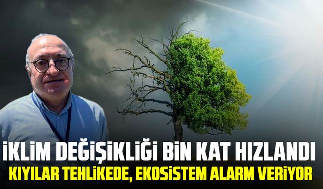 İklim değişikliği bin kat hızlandı: Kıyılar tehlikede, ekosistem alarm veriyor